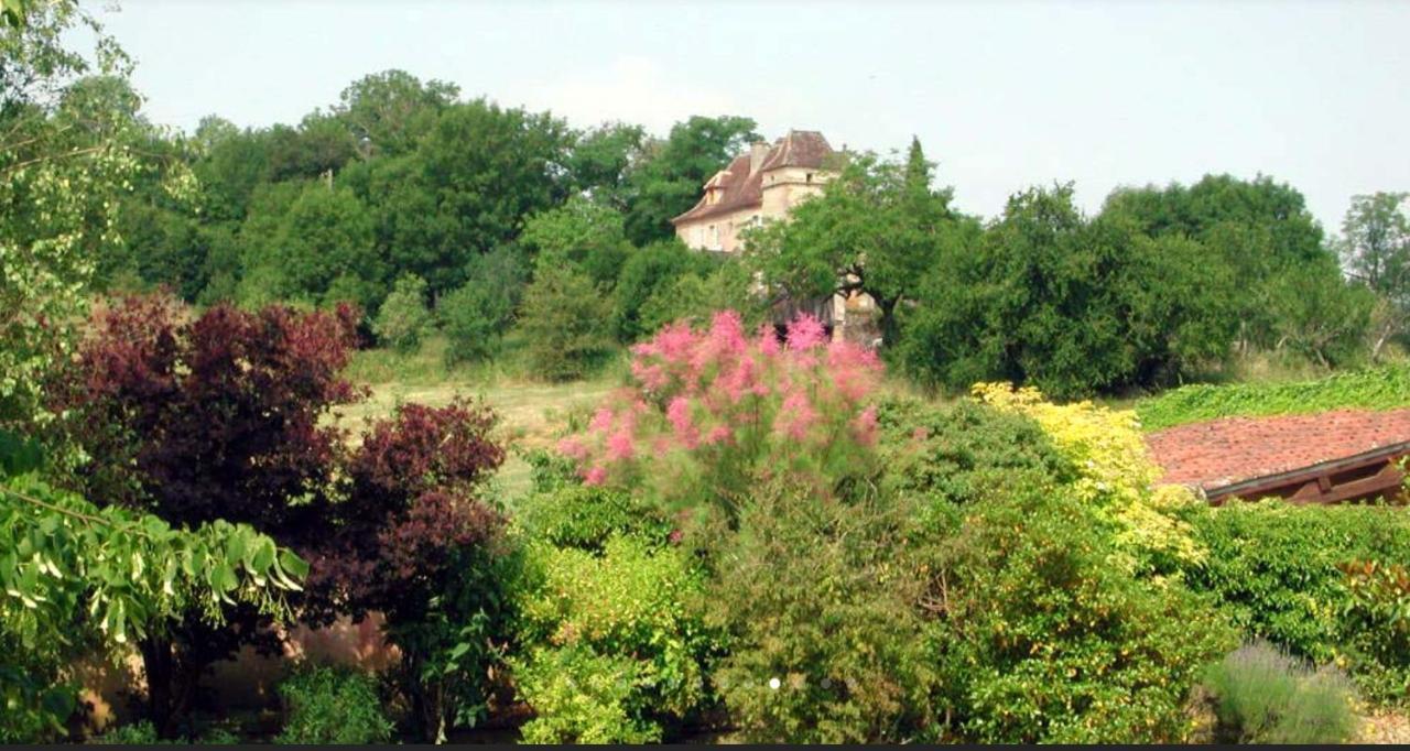 Chateau De Beduer And Vacation Homes 外观 照片